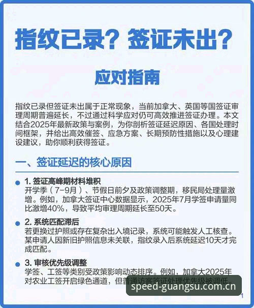 光速体育官网 世界杯观赛受阻?从约旦球迷困境看签证问题的实用应对指南